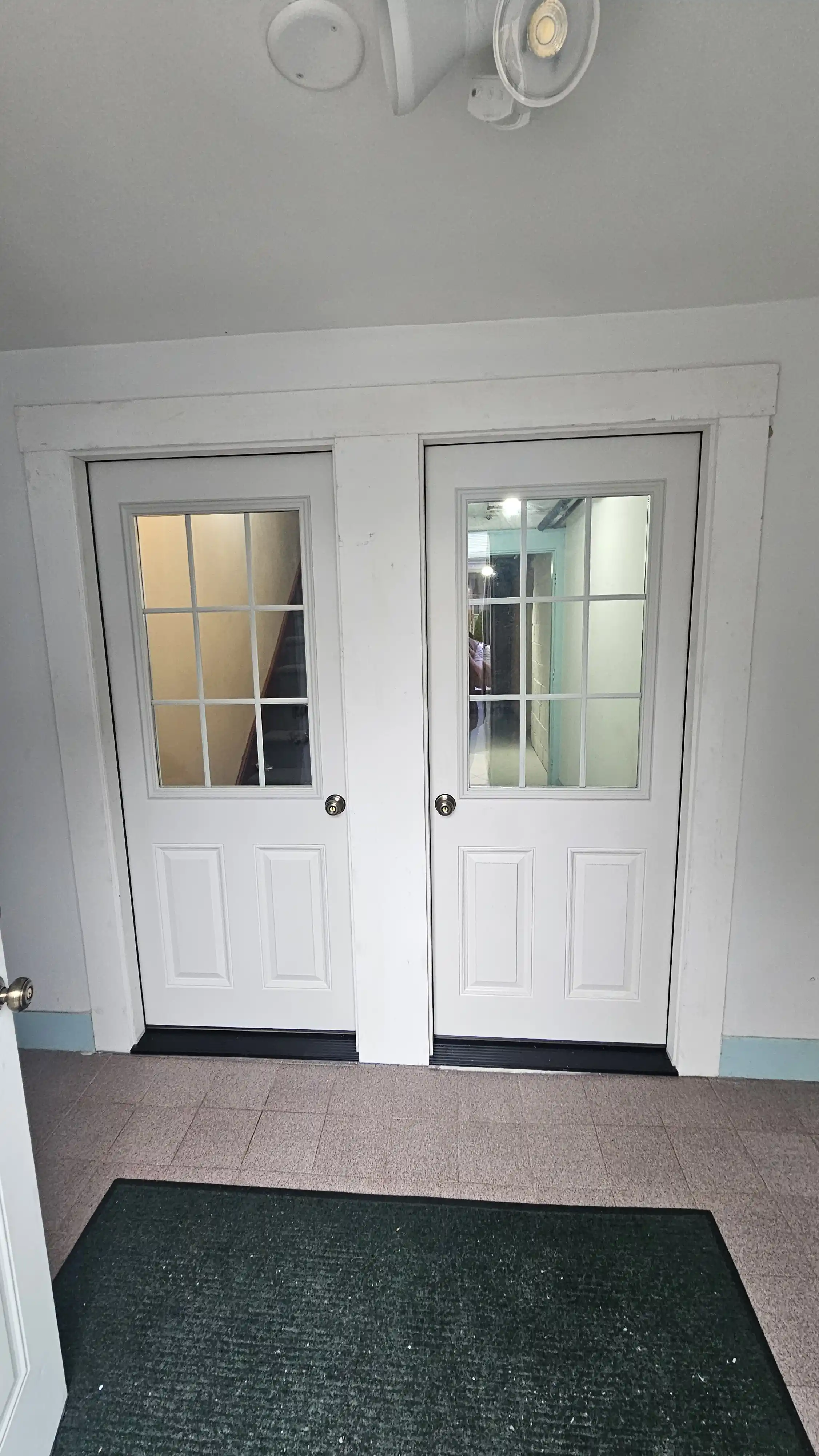 White double entry doors with glass grids and symmetrical paneling